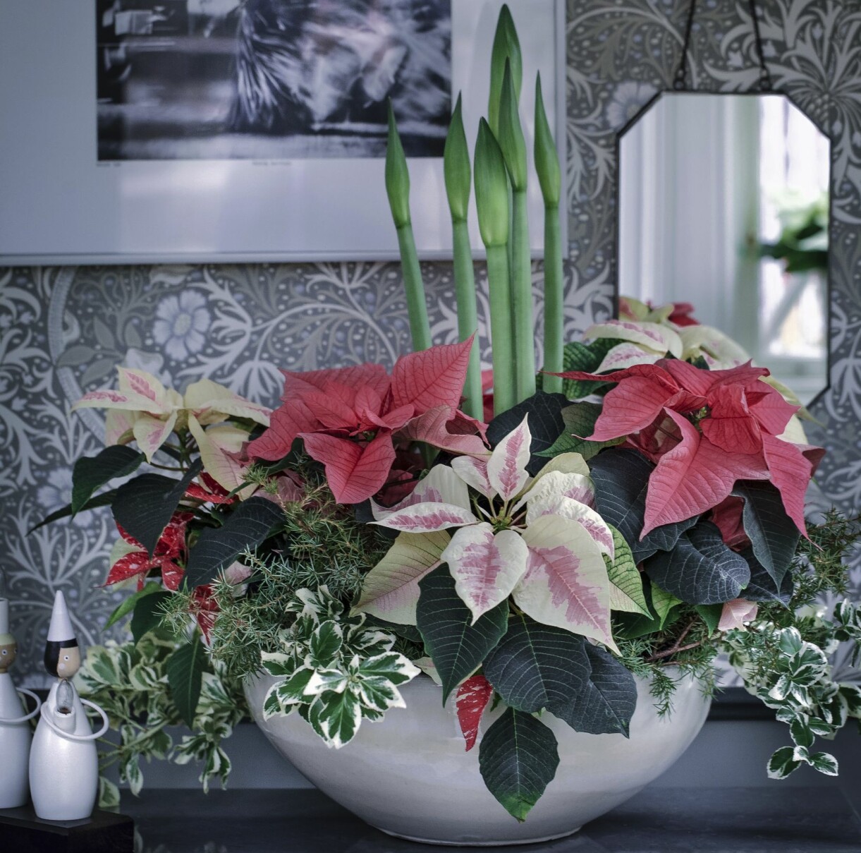 Modernt arrangemang med amaryllis och julstjärnor.