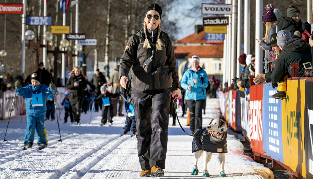 Joanna och Molly i Mora för att arbeta under Vasaloppet. Mollys känsliga nos kan uppfatta förbjudna preparat genom en idrottares svett. Joanna Sjöö och dopinghunden Molly på Wasaloppet