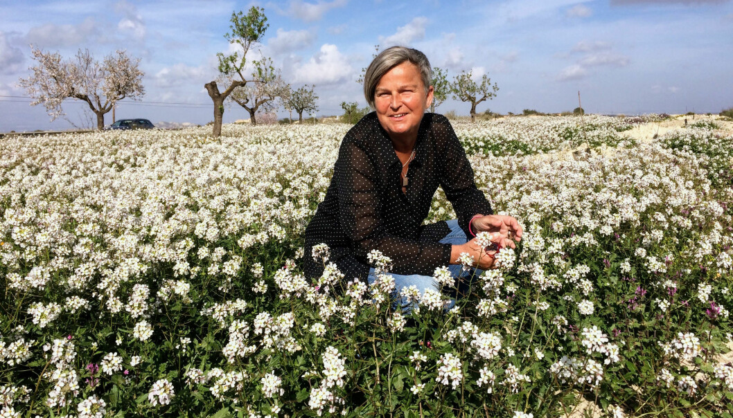 Monica Holmner är gärna ute i naturen och ser det nästan som terapi att vandra i skog och mark. Monica Holmner sitter på huk på en blomsteräng.