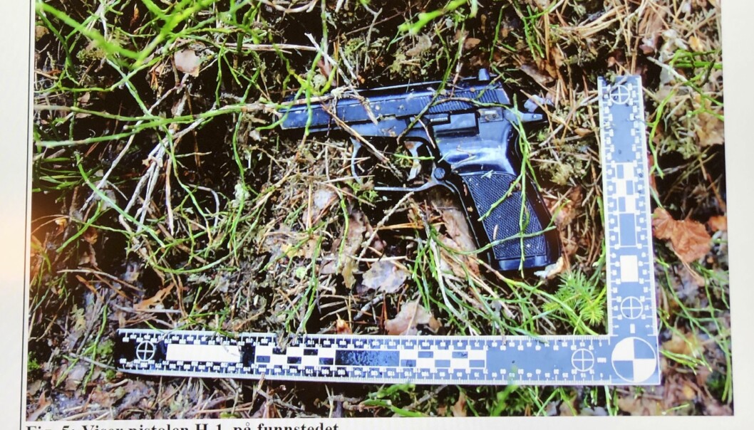 Pistolen, en Makarov, hittades först i maj året därpå. Foto: Polisen/TT Pistolen, en Makarov, hittades först i maj året därpå. Foto: Polisen/TT