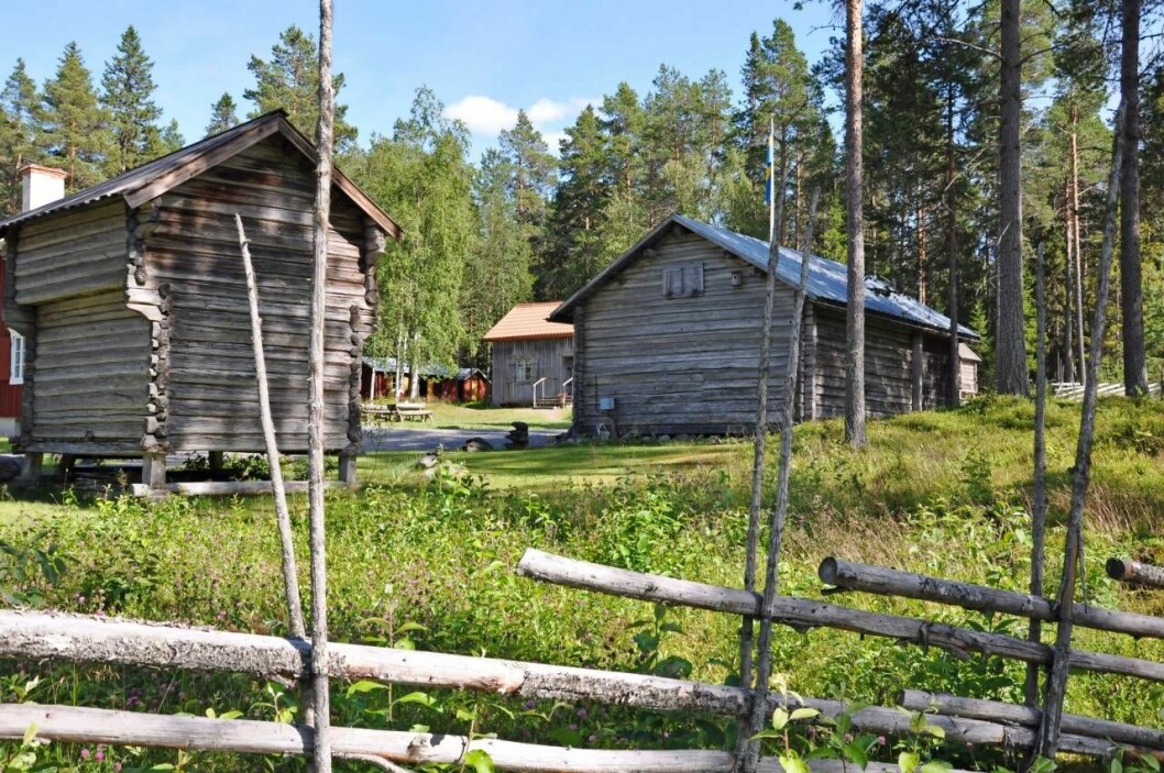 På Mus-Olles museum i Ytterån kan man besöka den stuga den legendariske samlaren och museiskaparen själv bodde i.