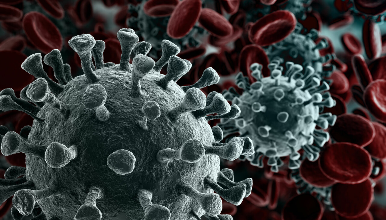 Närbild av coronaviruset i ett mikroskåp.