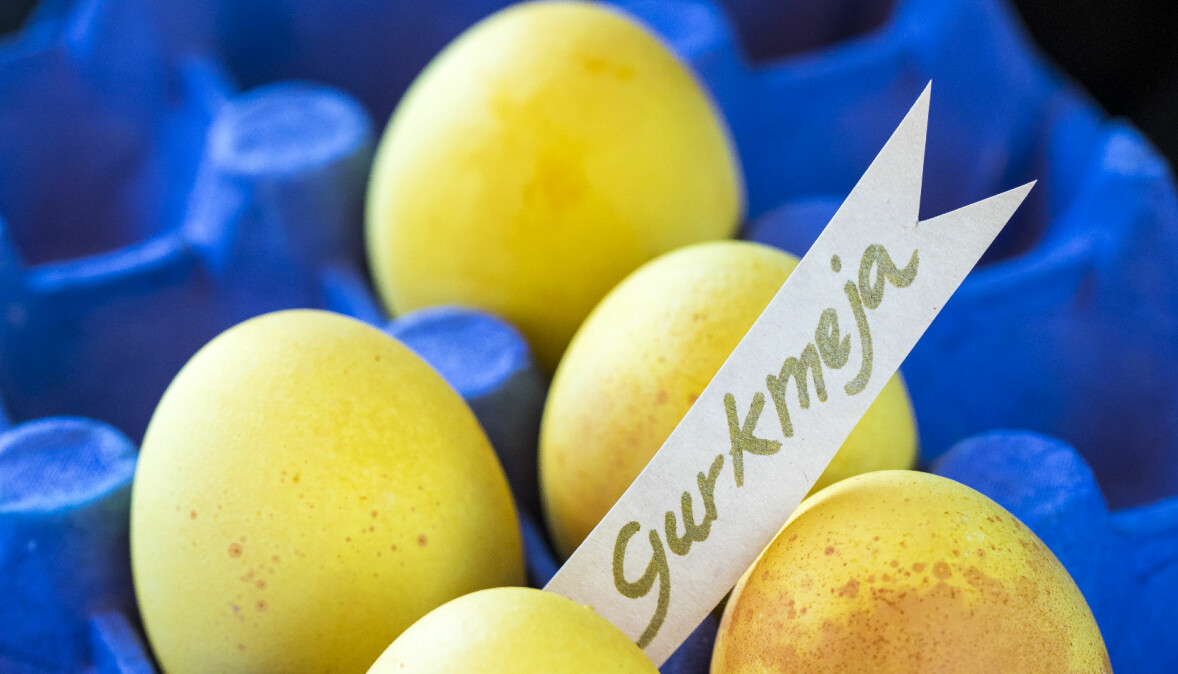 Gurkmeja ger dig gula, glada ägg. Att färga ägg med gurkmeja ger äggen en intensivt gul färg.