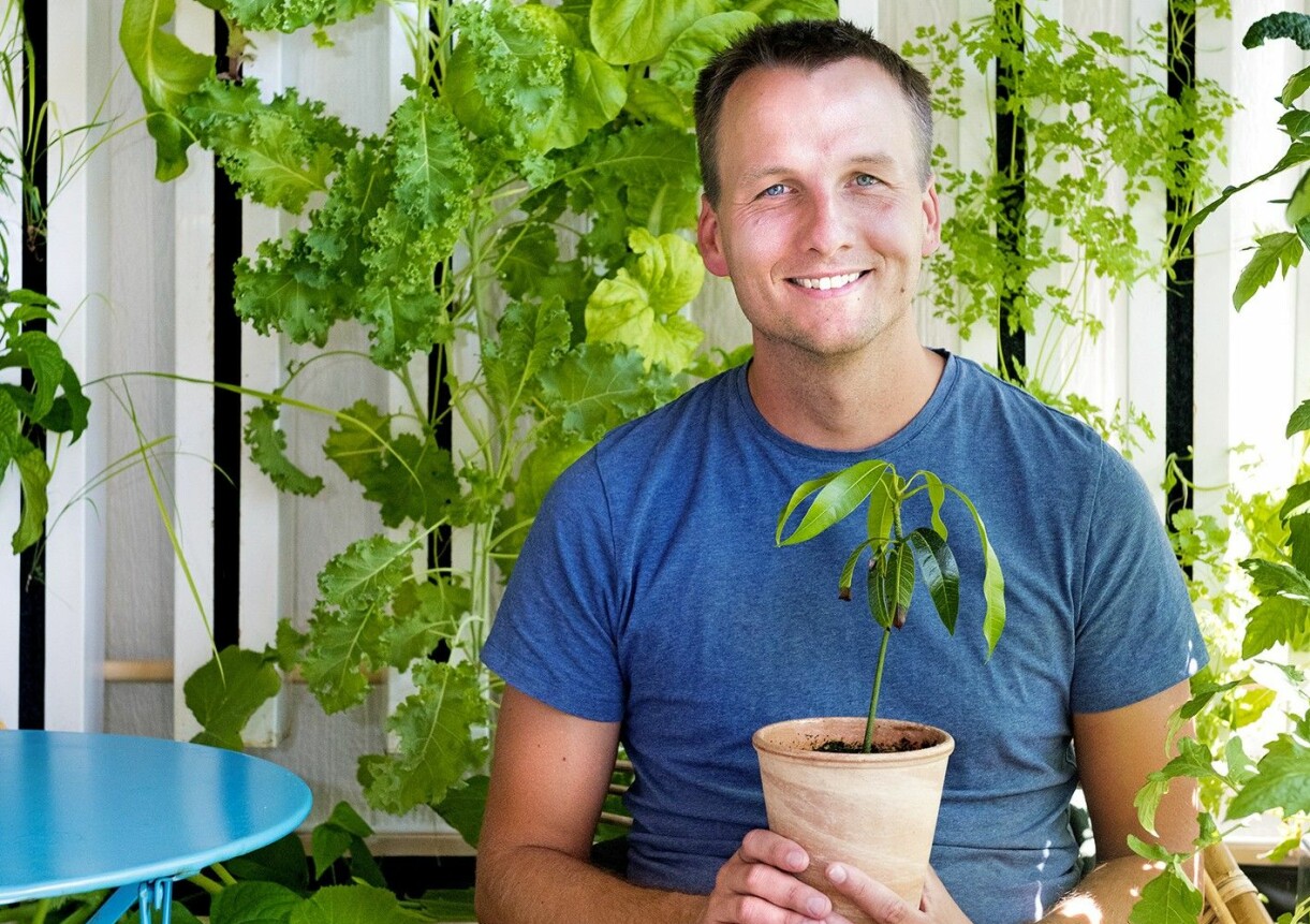 Niklas Hjelm tror att alla kan lyckas med hydroponisk odling i hemmet. Niklas Hjelm är ordförande i odlingsföreningen Hemmaodlat och rekommenderar hydroponisk odling.