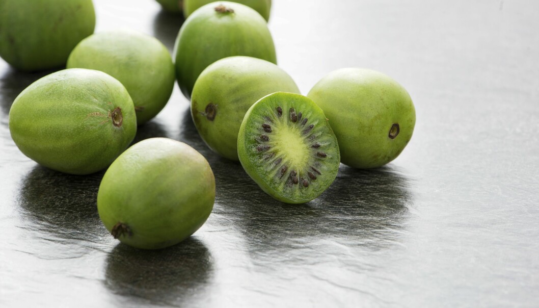 Minikiwi.