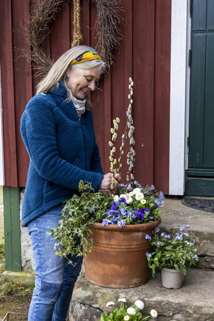 Nu blir det nytt i krukan på torptrappen! Murgrönan har hängt med många år och ska få sällskap av vårens blommor. Anni Jähde med en fin vårkruka på förstutrappen.
