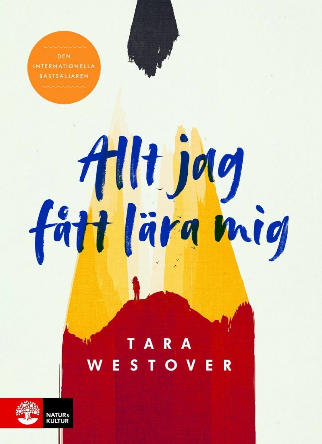 Bokomslag till Allt jag fått lära mig, abstrakt illustration.