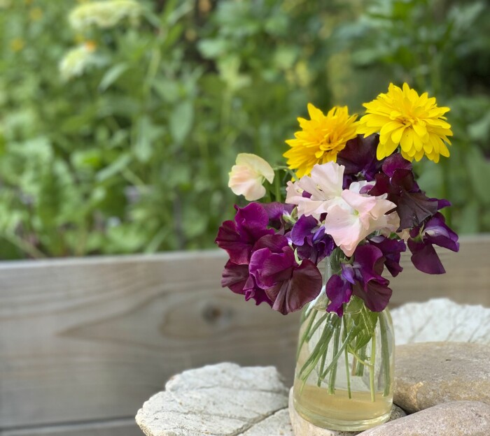 Blommor är ett måste. Ringblommor och luktärter räcker till buketter både i sommarstugan och att ta med hem till stan. Blommor är ett måste. Ringblommor och luktärter räcker till buketter både i sommarstugan och att ta med hem till stan.