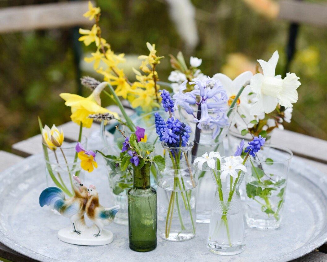 Vårblommor som stickblommor.