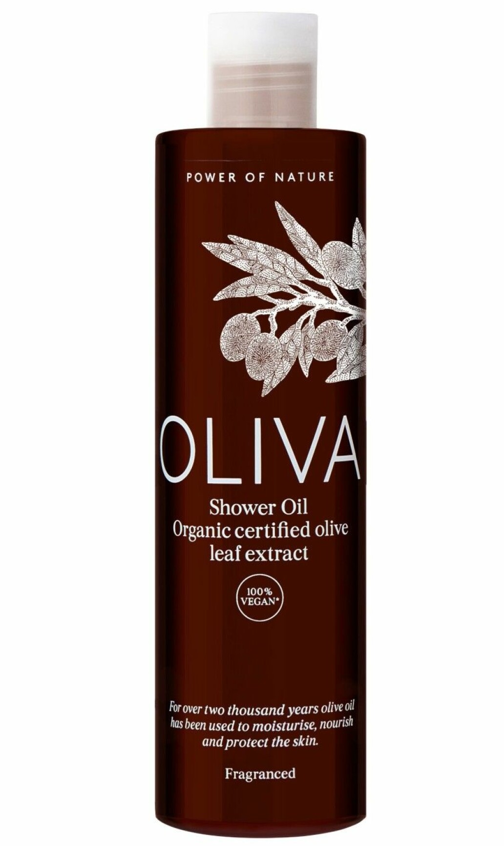 Oliva duscholja