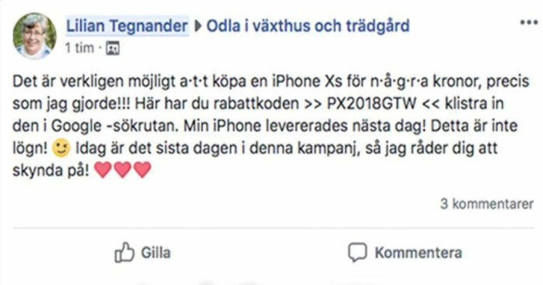 Lilian Tegnander i Dorotea har drabbats av bedragarna två gånger på lika många veckor. Foto: Facebook Lilian Tegnander i Dorotea drabbades av bedragarna två gånger på lika många veckor.