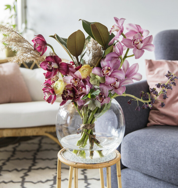 Cymbidium är en orkidésort som får rikligt med hållbara blommor samlade på långa stänglar. Denna orkidé trivs med lite svalare temperaturer än många andra. Cymbidium är en orkidésort som får rikligt med hållbara blommor samlade på långa stänglar. Denna orkidé trivs med lite svalare temperaturer än många andra.
