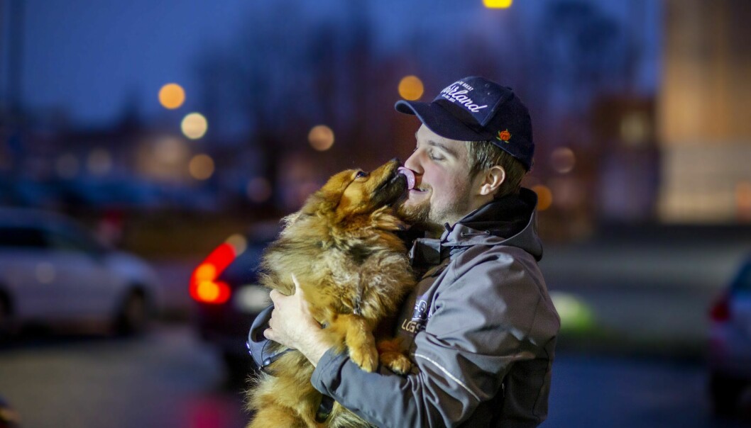 Oskar är tacksam för att hunden Basse inte var med i bilen vid olyckstillfället. – Då hade han inte funnits mer och det hade varit väldigt tufft Hunden Basse slickar husse Oskar på näsan