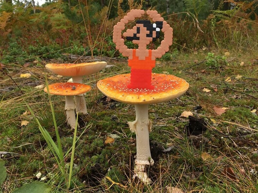 Följ Johan på Instagram! Kontot heter ”<a href="https://www.instagram.com/pappasparlor/?hl=sv" target="_blank" rel="noopener">pappasparlor</a>” och där lägger han ut många av sina fantasifulla skapelser. Pappas pärlor har pärlat en figur och placerat den på en svamp