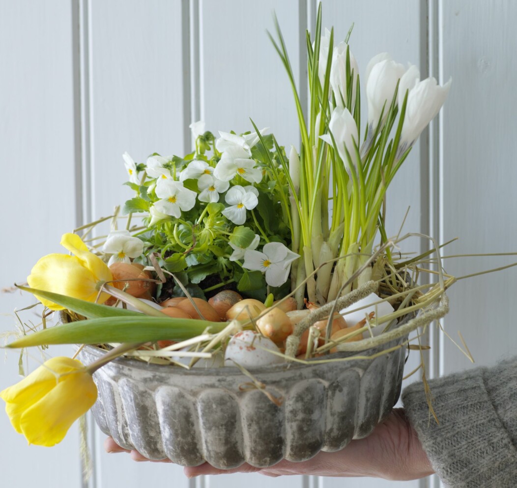 Vårblommor i kakform.