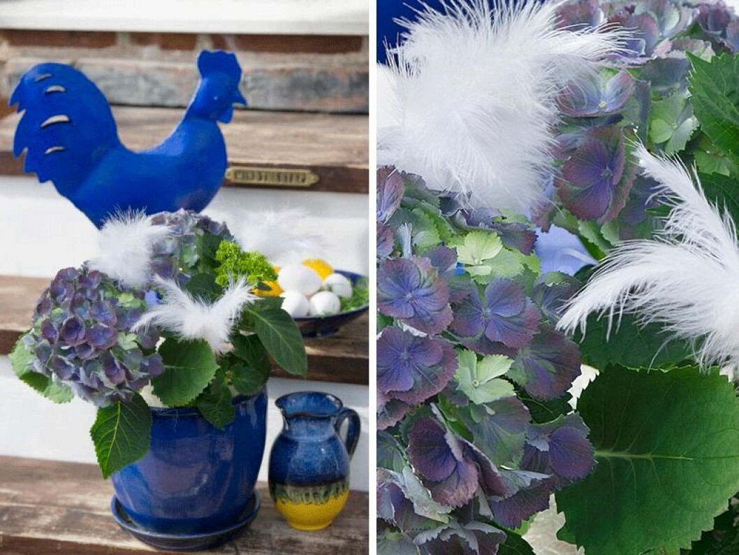 Blått är flott, även till påsk! En blå kruka med fjäder pyntad hortensia blir en fin prydnad på trappan.