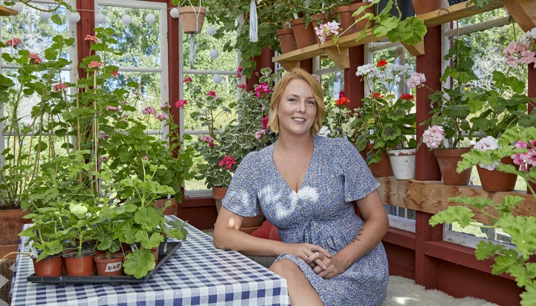 Jeanette stortrivs i sitt pelargonhus som hon kallar för bodegan. Här kan hon sitta och njuta, läsa en bok, fika eller äta. Jeanette Tillberg med sina pelargoner.