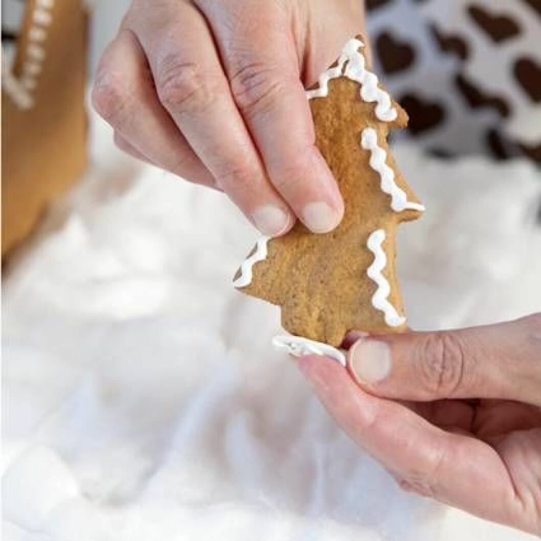 Pepparkakshus hemma