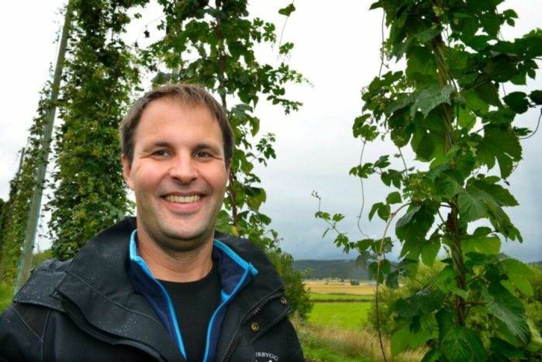 I kommersiell odling är humle en ganska besvärlig gröda, som kräver avancerade och stormsäkra klättersystem. Per Wigermo har startat en försöksodling av humle på sin gård utanför Varberg. Foto: Annika Karlbom I kommersiell odling är humle en ganska besvärlig gröda, som kräver avancerade och stormsäkra klättersystem. Per Wigermo har startat en försöksodling av humle på sin gård utanför Varberg.