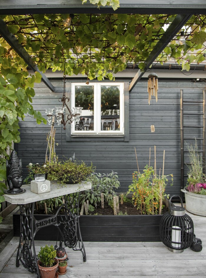 Med en pergola som lätt skuggning, har Lena sin lilla odlingsplats intill förrådet i tomtens bakre hörn. På pergolan klättrar ett vin som ger blå druvor på hösten. Med en pergola som lätt skuggning, har Lena sin lilla odlingsplats intill förrådet i tomtens bakre hörn. På pergolan klättrar ett vin som ger blå druvor på hösten.