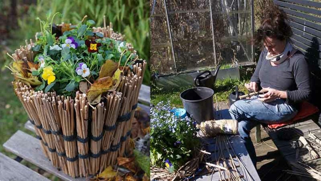 Fixa en charmig ytterkruka till penséerna! En enkel svart plastkruka bildar basen och vi klär den med gräs i buntar. Foto: Eva Malmström Fixa en charmig ytterkruka till penséerna! En enkel svart plastkruka bildar basen och vi klär den med gräs i buntar