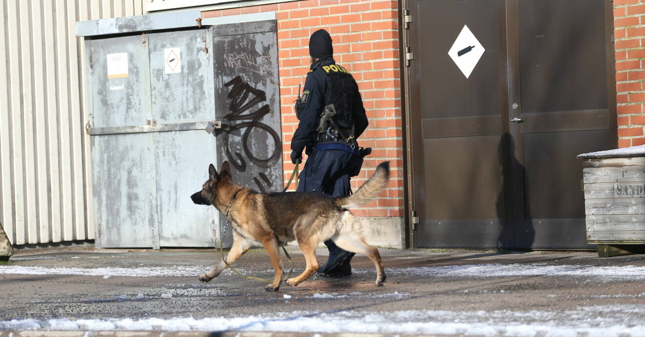 polis med polishund söker vid skolan.