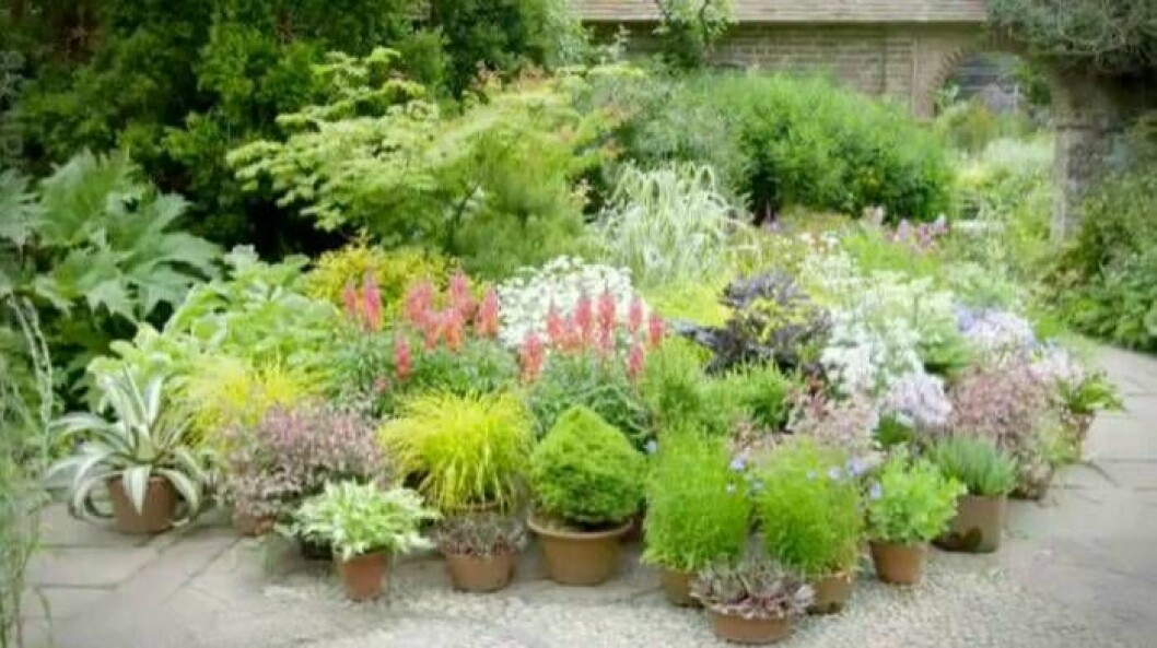 Great Dixter: Foto: SVT Trädgården Great Dixter inspirerar John Taylor.