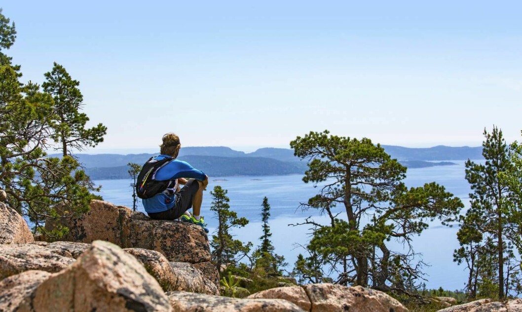 Höga Kustenleden tar vägen genom flera naturreservat, en nationalpark och ett naturvärldsarv. Man sitter och tittar ut över hav