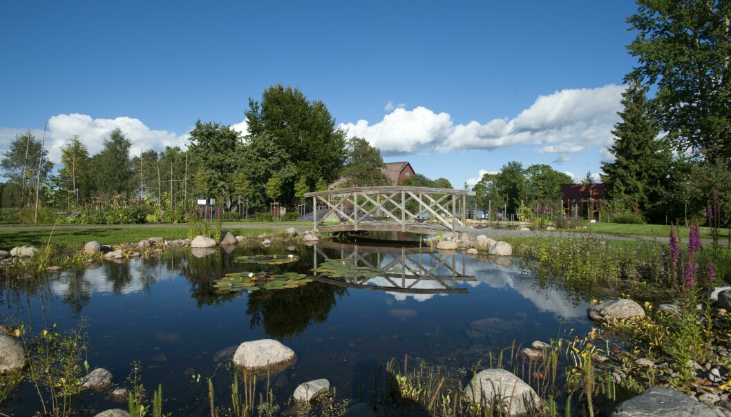 Rottneros Park.