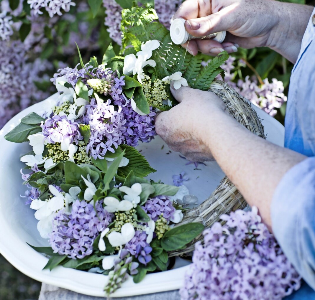 Försök att få blommorna jämnt runt kransen. En kvinna binder den vackra kransen av syrener.