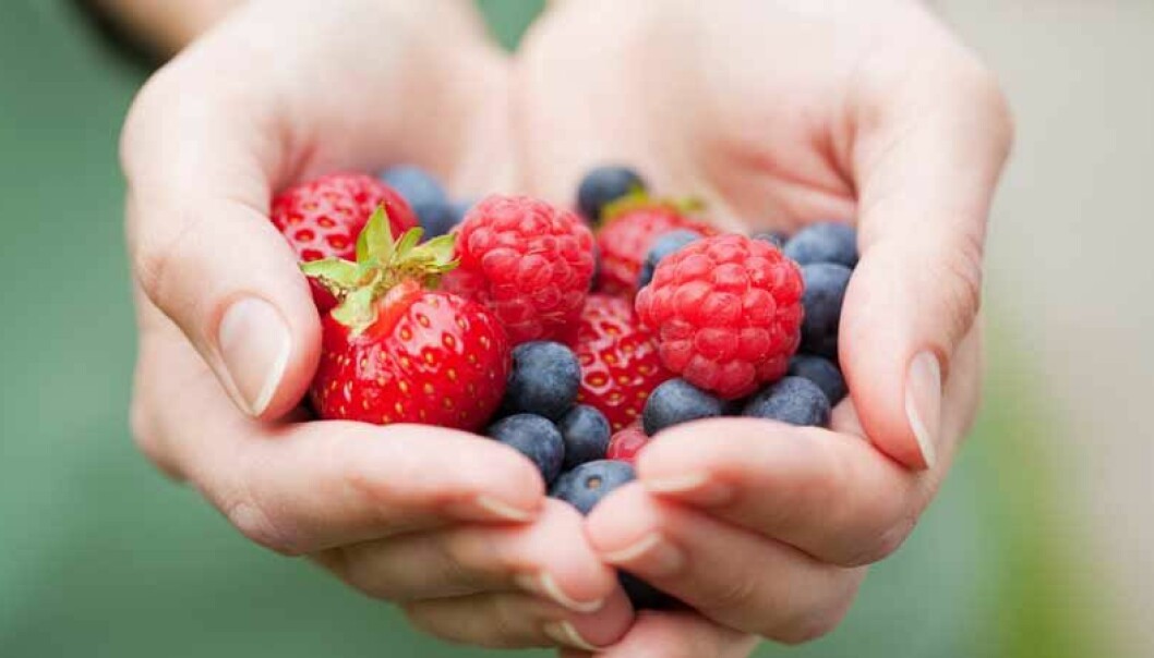 En handfull bär – jordgubbar, blåbär och hallon.