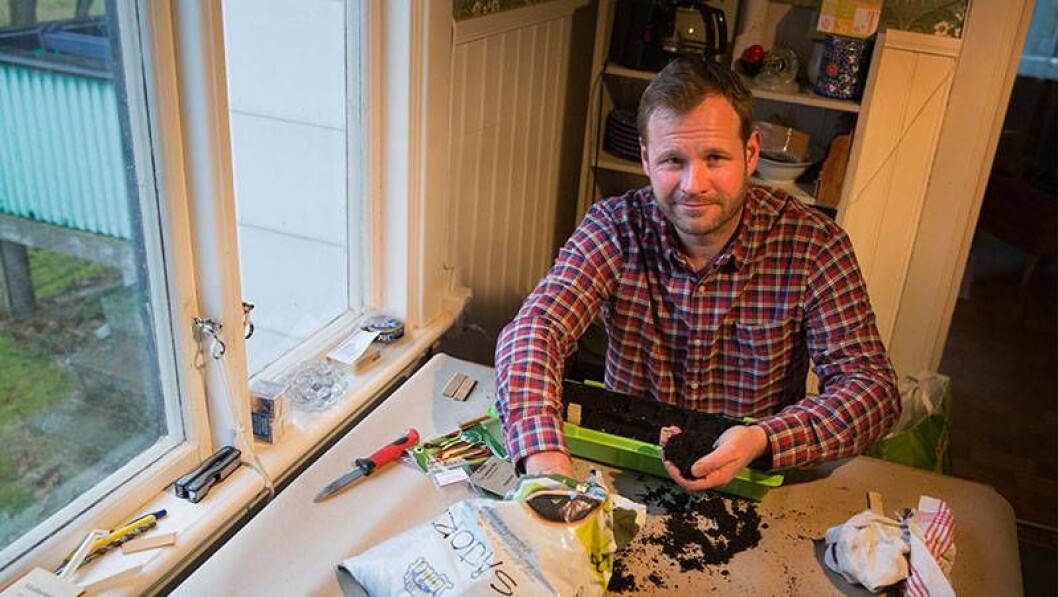 Foto: Anders Kronborg Det är hög tid att så chili.