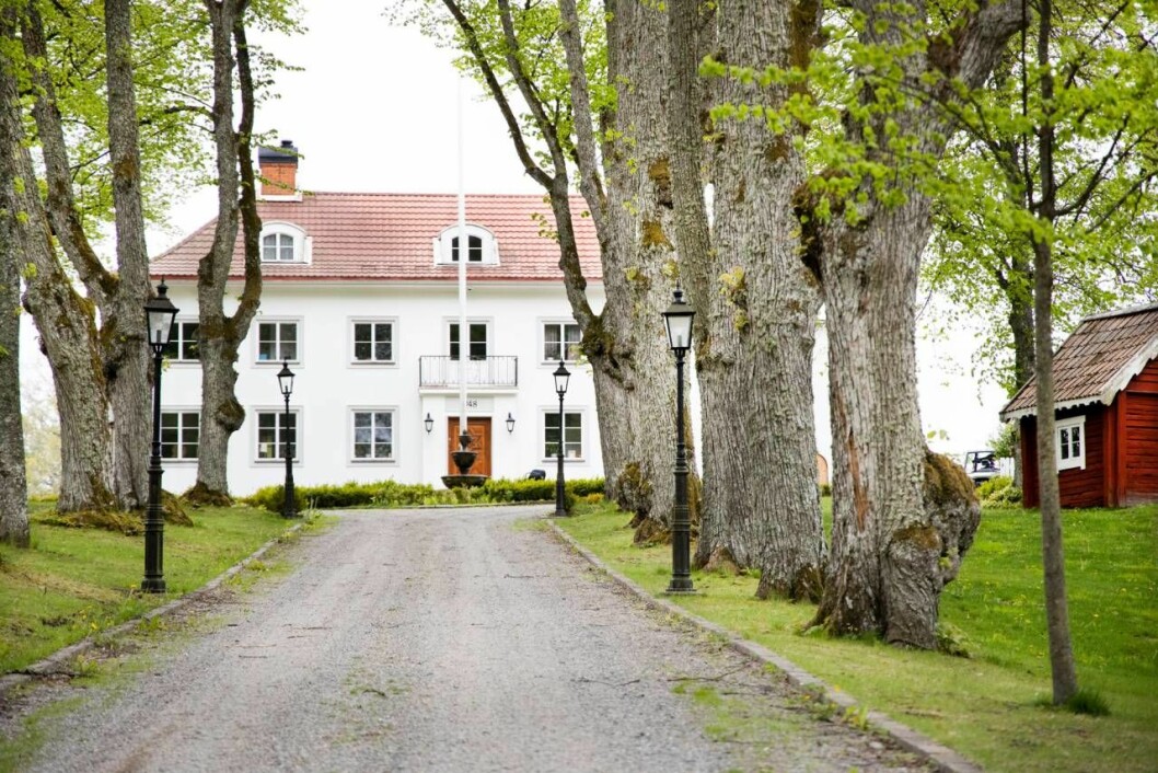 En vit herrgård med trädallé framför.