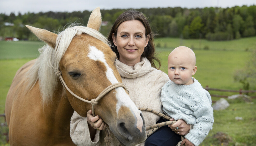 Sanna Lundell tillsammans med hästen Ninna och sonen Fox. Sanna Lundell i hästhagen tillsammans med stoet Shiloh och sonen Fox i famnen.