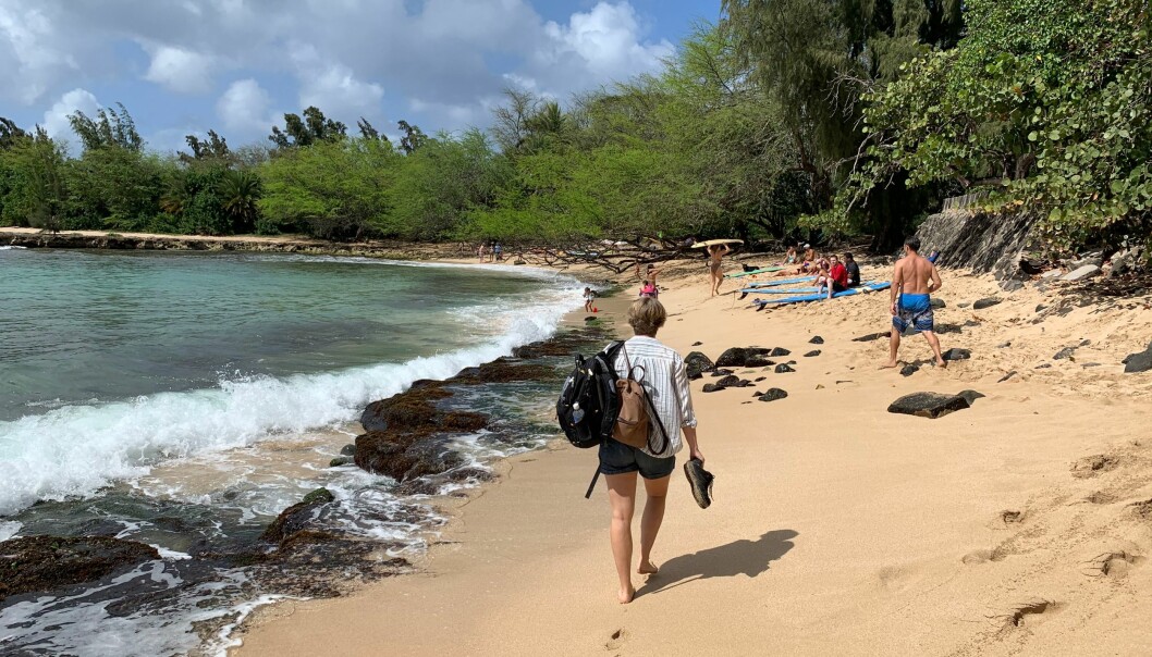 Hannas föräldrar Sara och Marcus och storebror Josef reste till Hawaii för att uppleva platsen där dottern Hanna tillbringat sina sista veckor i livet.