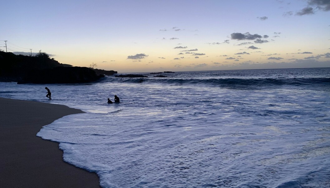 Stranden på Hawaii där Hanna sveptes bort av en stark ström och försvann.