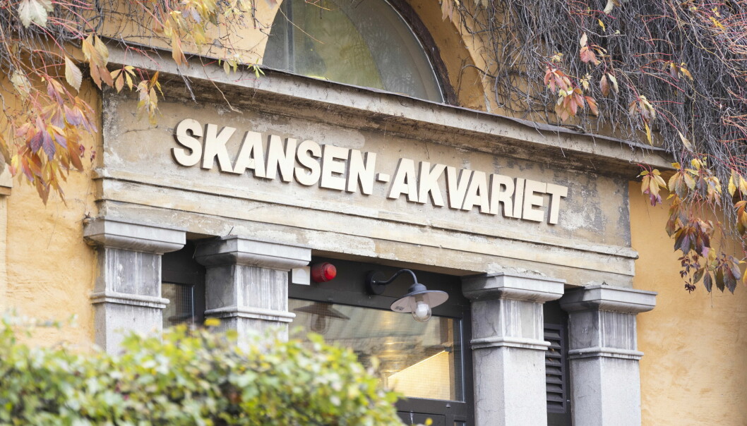 Skansen-Akvariet i Stockholm