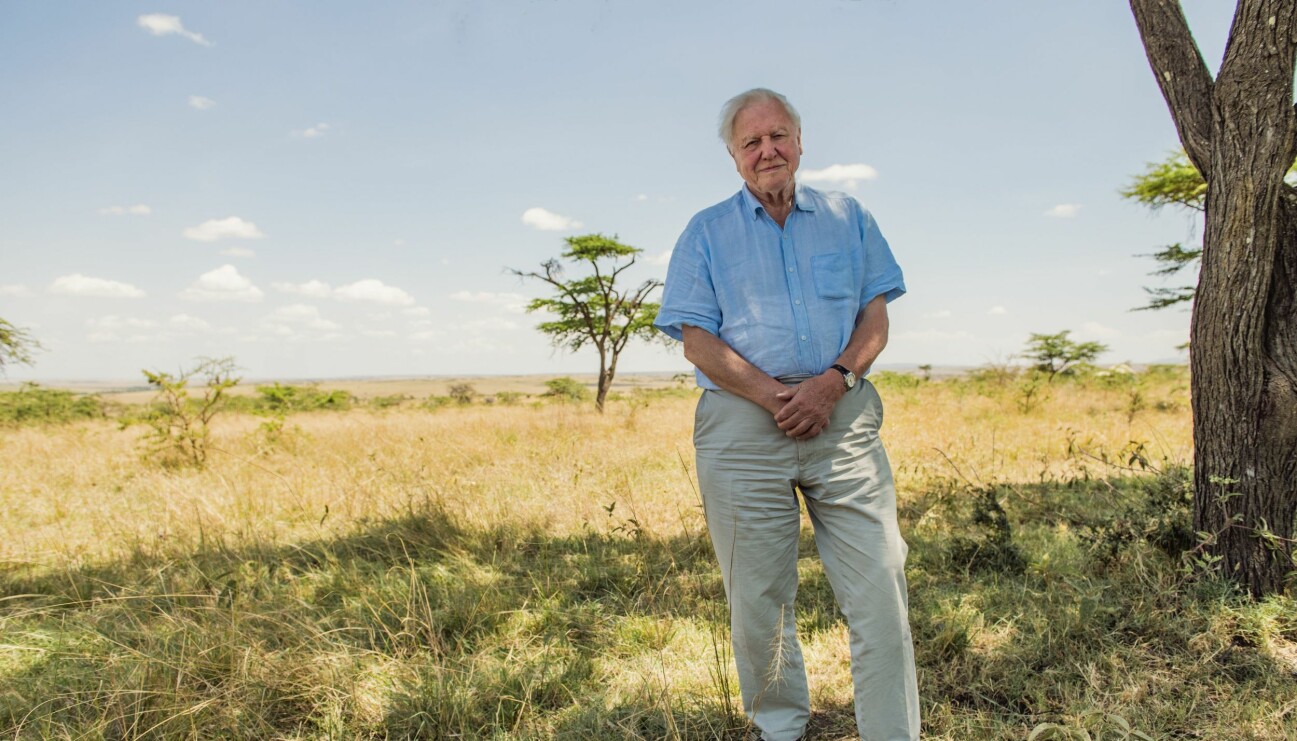 David Attenborough i Kenya