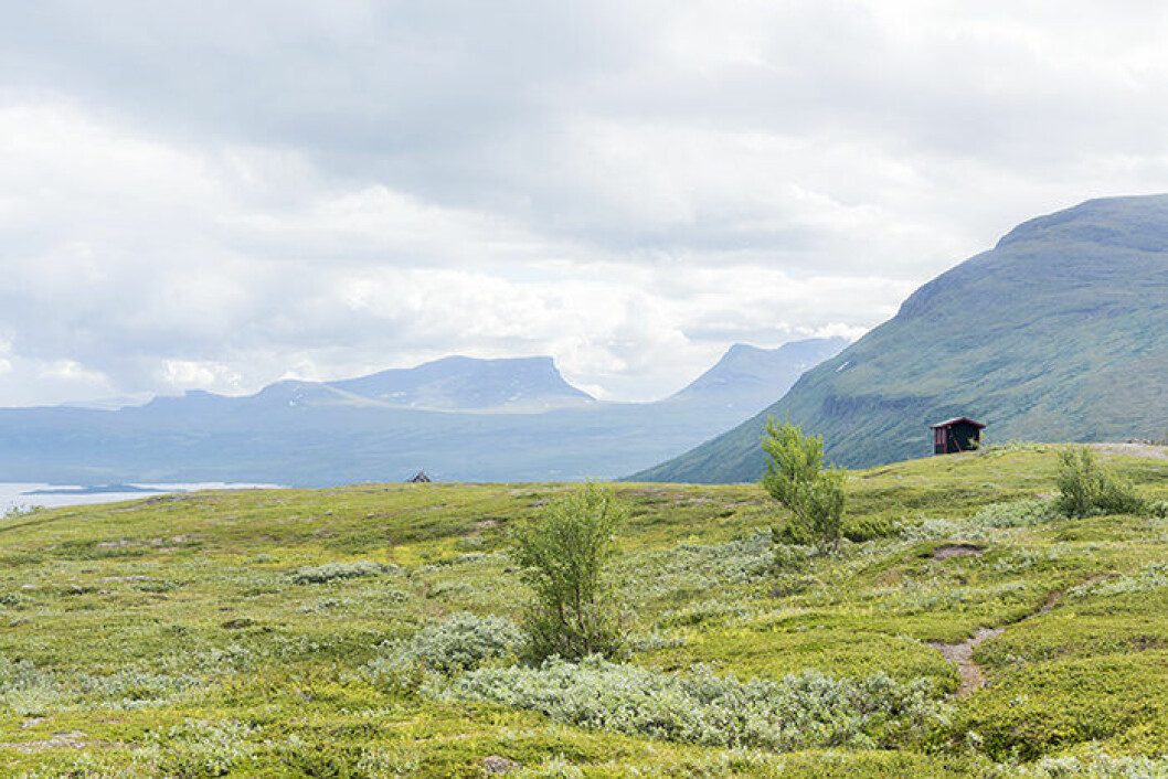 Lapporten sedd från Björkliden. Vacker fjällnatur med lapporten i bakgrunden
