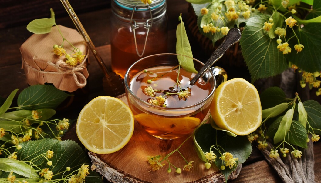 Lindblomma citron te
