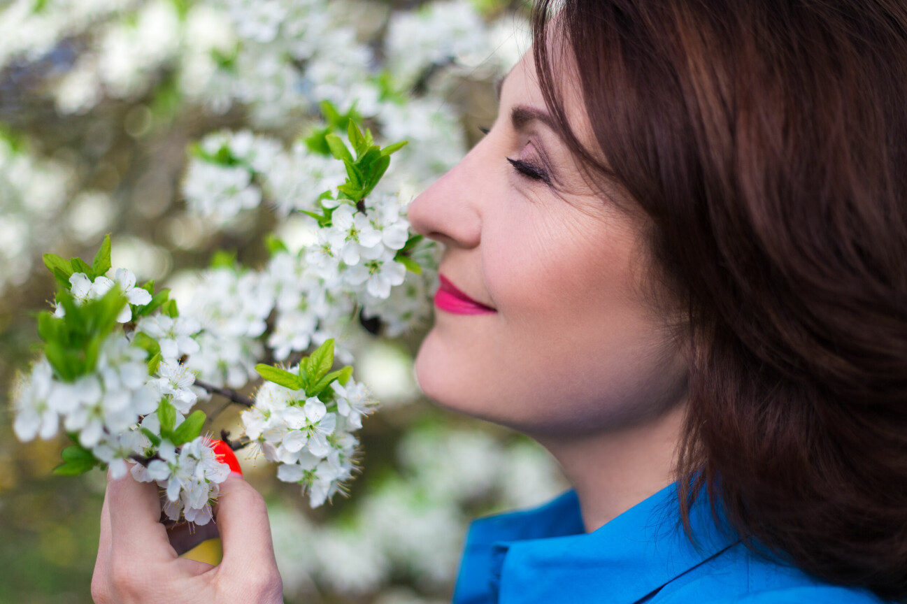 Kvinna luktar på blommor från ett träd.