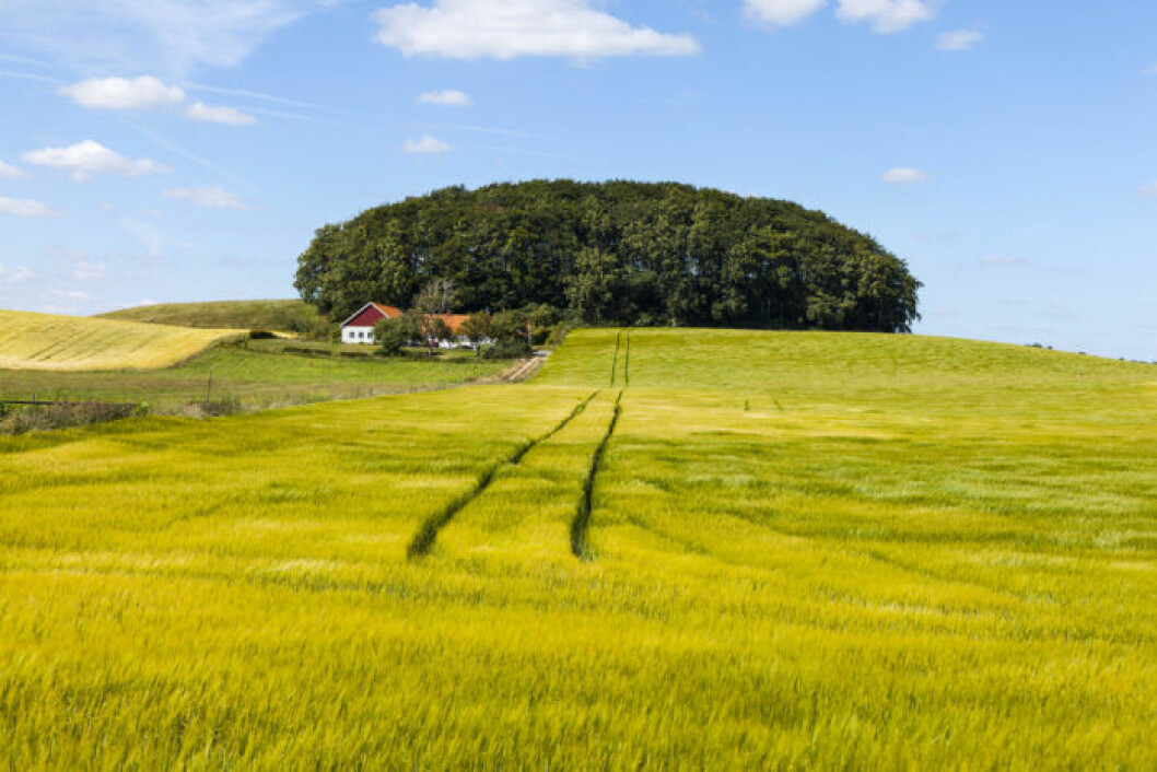 Drömmer du om ett sommarställe i Skåne? Thomas Adolfsén/Scandinav Drömmer du om en Skånelänga som sommarställe?