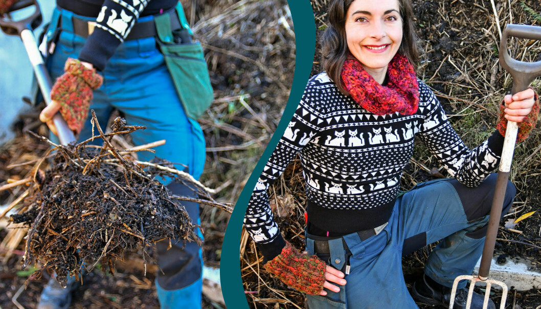 Trädgårdsingenjör Lina Hirsch använder nästan aldrig spade – förutom vid plantering. För att störa jorden, maskarna och mikrolivet så lite som möjligt väljer hon hellre grep när det behövs.