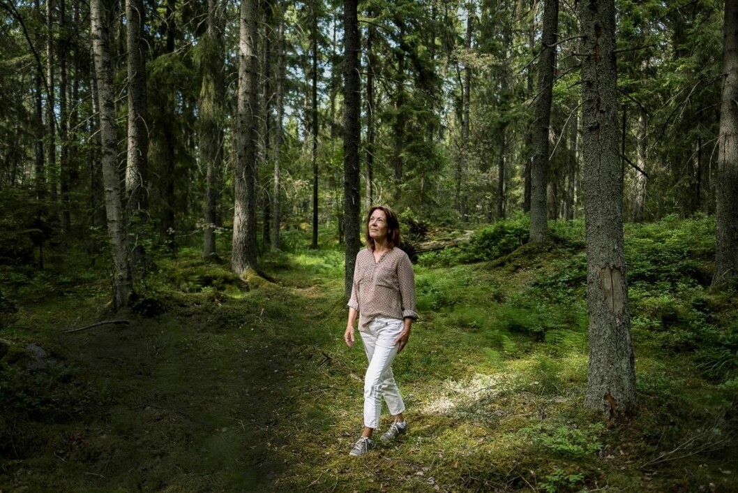 Christine Busain skogsbadar och sänker sina stressnivåer. 
