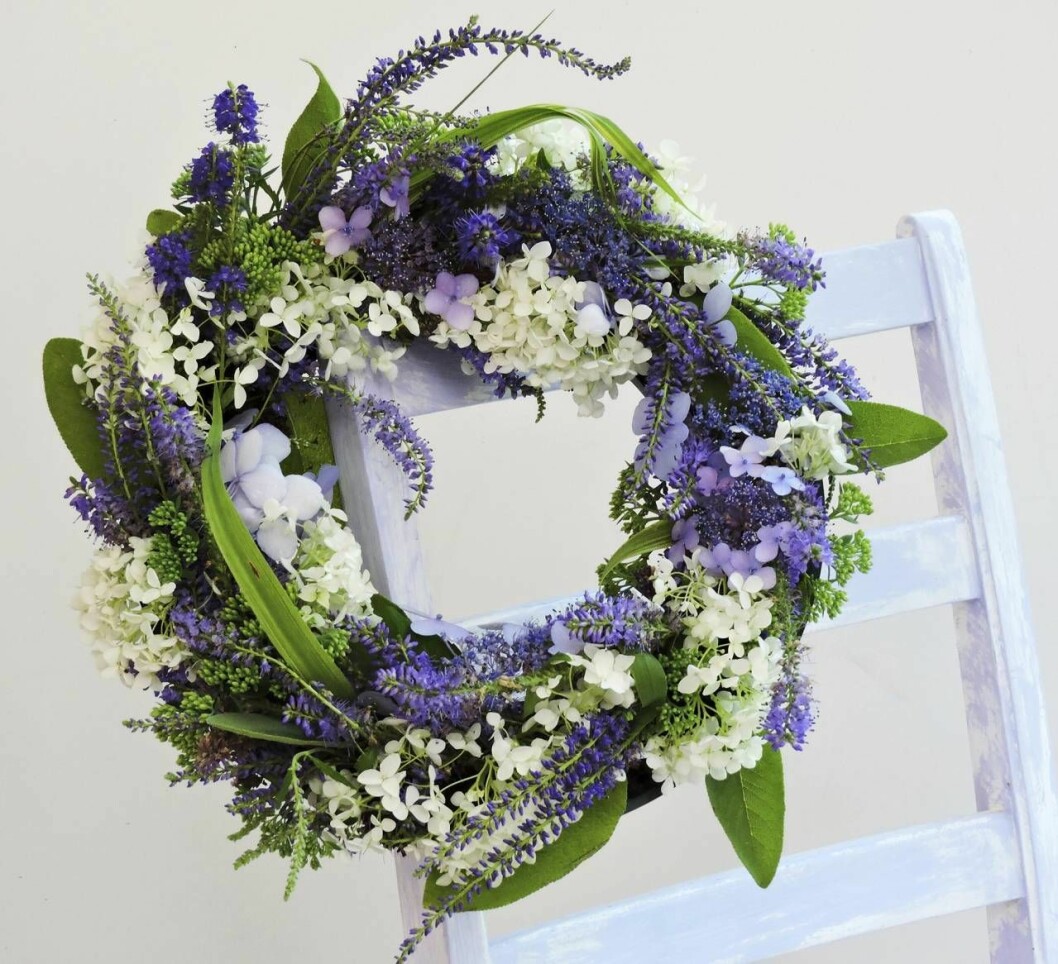 Hortensia är fyllig och tacksam att använda i kransar och arrangemang. I den här somriga kransen finns både vita och blå hortensiablommor. Är blommorna lite väl stora, kan man dela dem innan de binds in i kransen. I kransen ingår även veronika och blad från trädgården. Lägg kransen på ett fat eller en bricka med lite vatten så håller den sig längre. Sommarkrans av hortensia och andra blommor