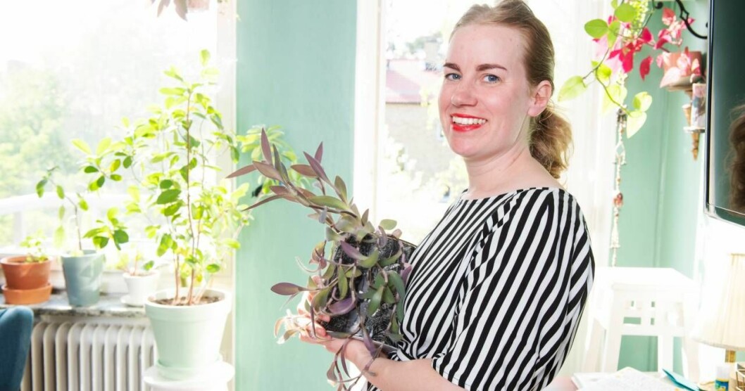 Sticklingbyten är en avknoppning i klubben. Foto: Theresia Köhlin Snigelklubben byter brev och växter