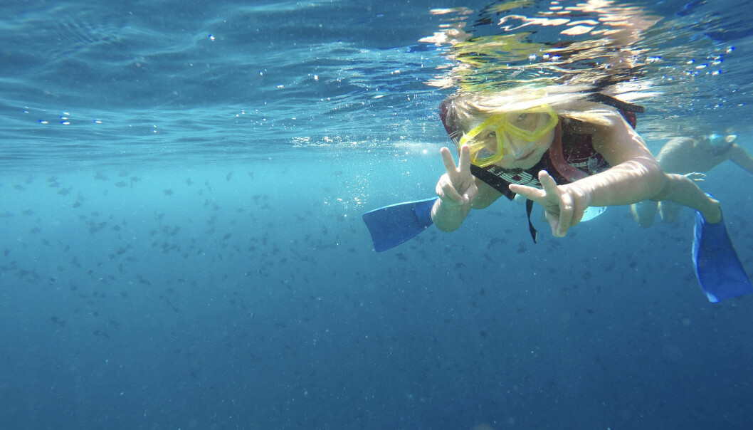 Det blev snorkling varje dag under tre veckor i Maldiverna, här är Penny på spaning efter delfiner och bläckfiskar. Foto: Privat Snorkling på Maldiverna.