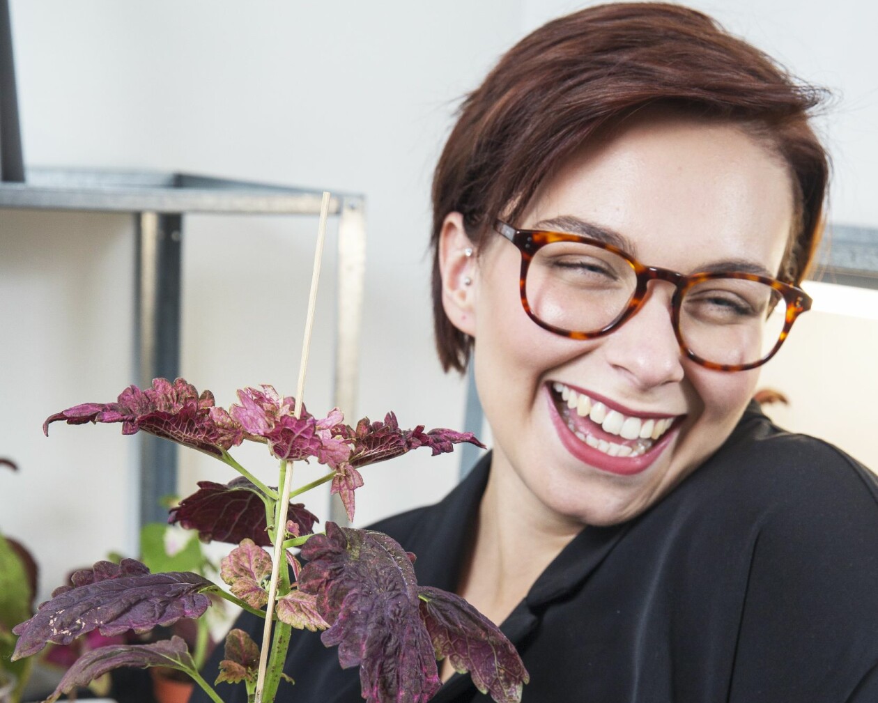 Palettblad har snabbt blivit Sofias favoritväxter. Sofia Andersson i Malmö ler stort med ett av sina palettblad.