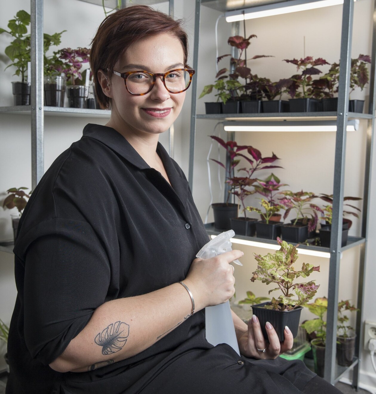 Sofia Andersson med sina palettblad. På armen syns hennes tatuering av ett monsterablad – växten som fick henne som besatt av krukväxter. Sofia Andersson i Malmö sköter om sina palettblad och sticklingar.