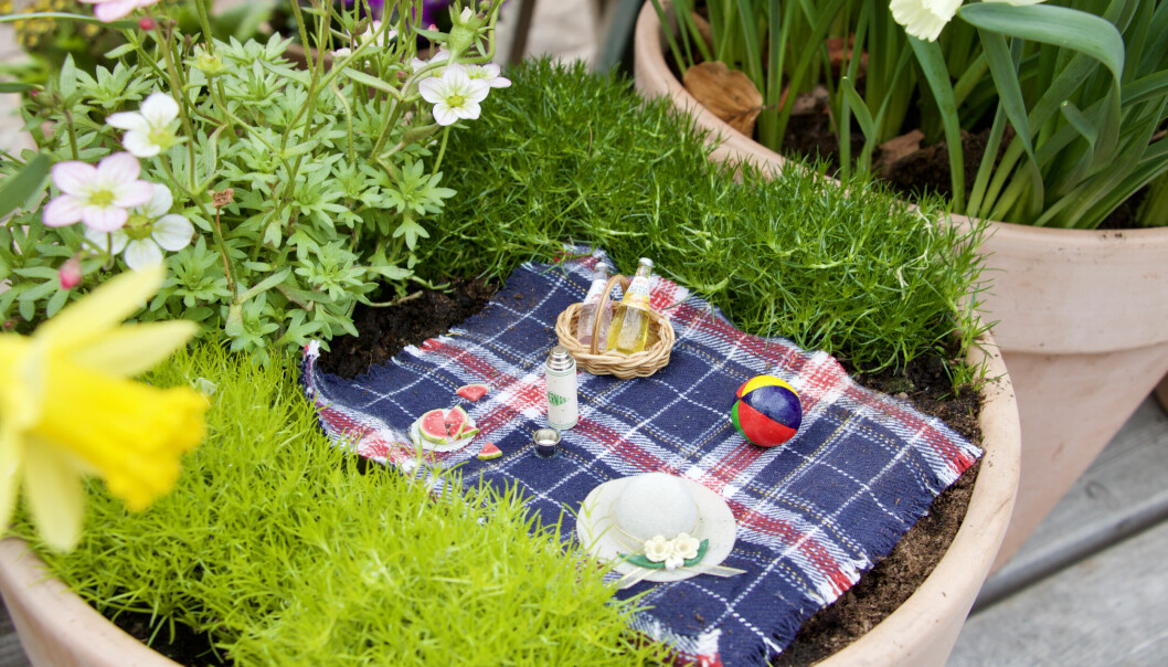 Picknick i miniatyr bland blommor.